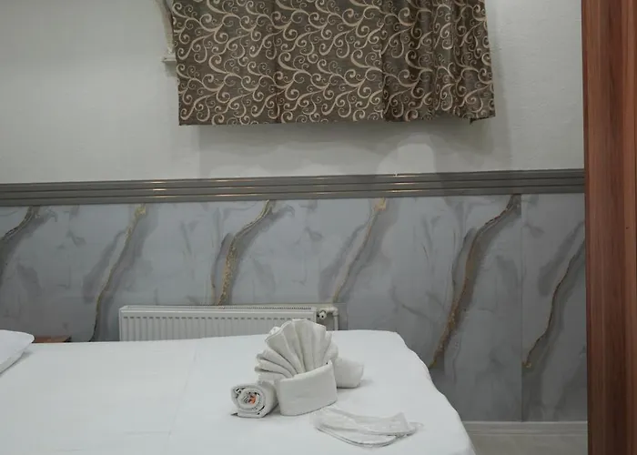 Bdk Проживание в семье *