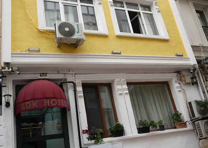 Bdk Проживание в семье *